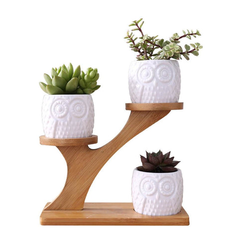 Bamboo Plants Stand Set With Ceramic Garden Planter