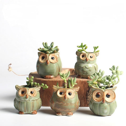 5 Pcs/Set Ceramic Owl Design Mini Pots