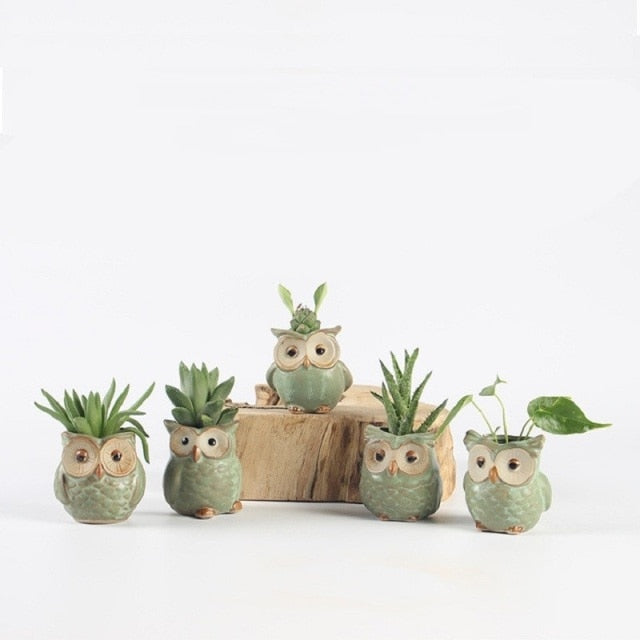 5 Pcs/Set Ceramic Owl Design Mini Pots